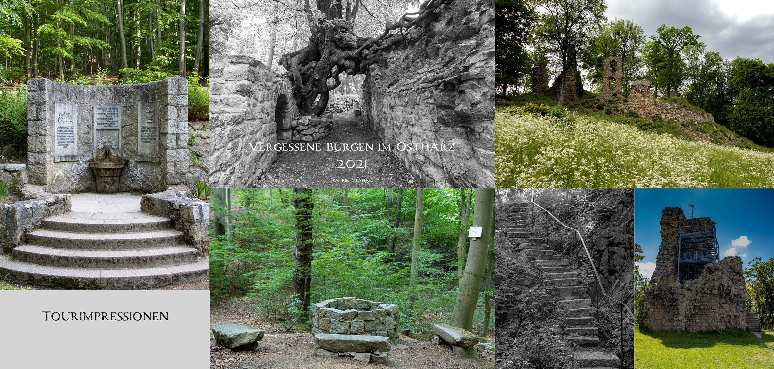 Fototour zur Stecklen- und Lauenburg