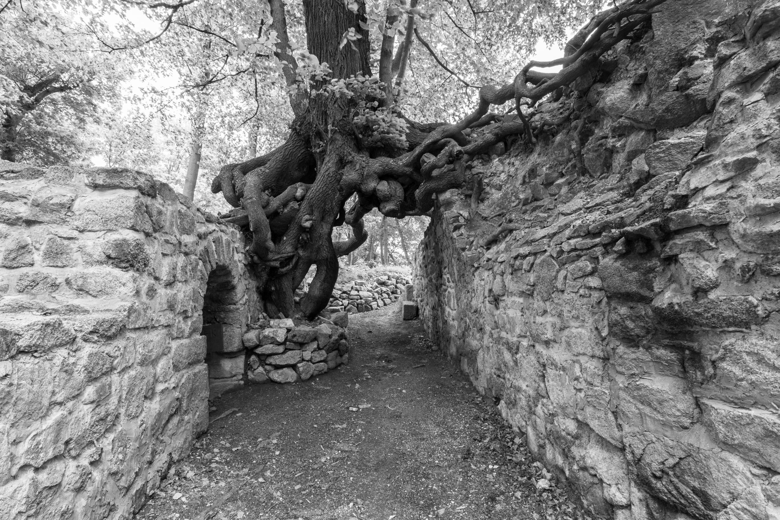 Fototour zur Stecklen- und Lauenburg