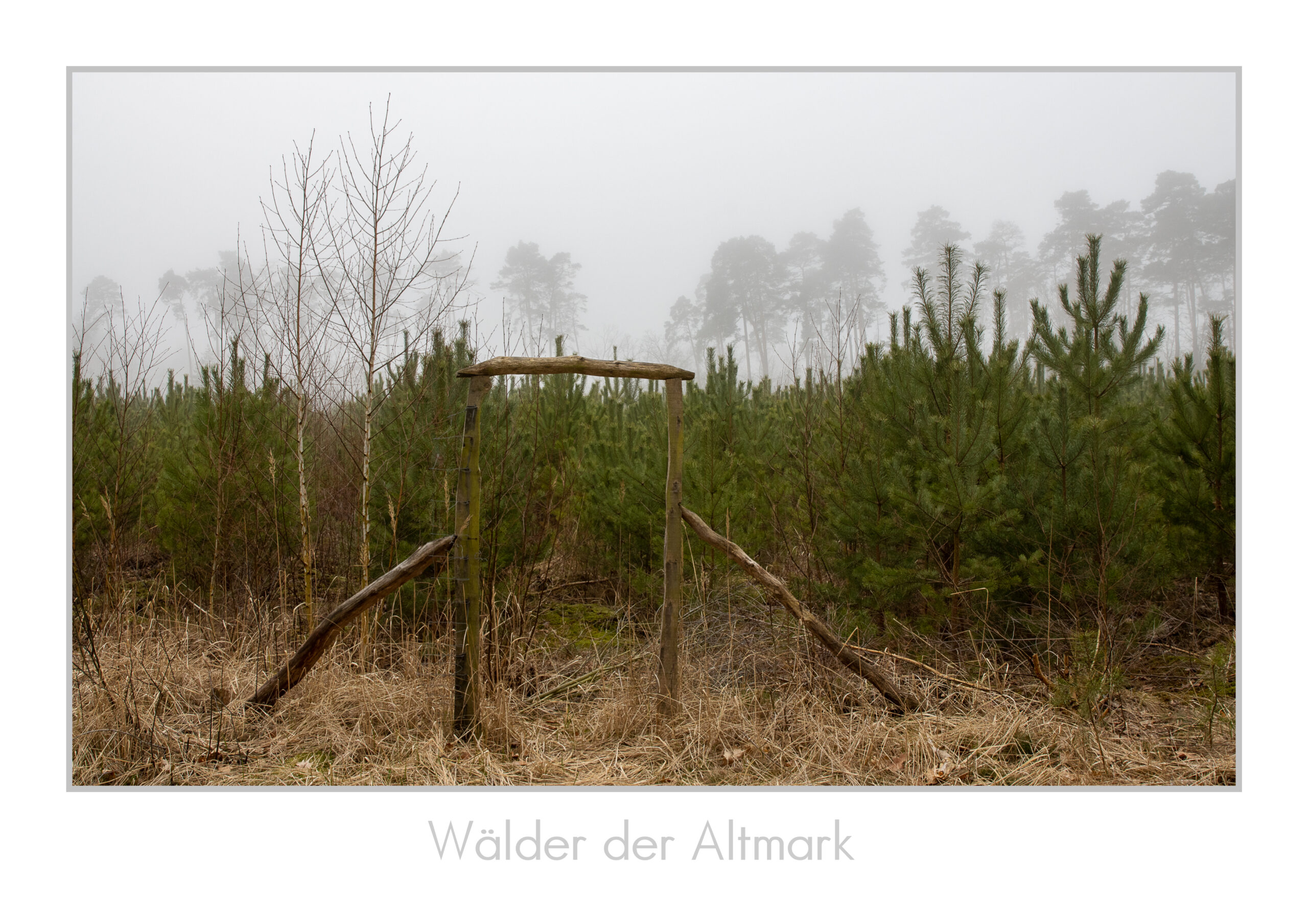 „Wälder der Altmark“ Facebook Gruppe